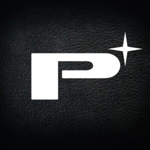 Perfectionist Auto & Security